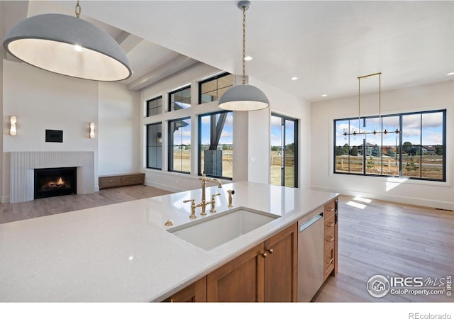 kitchen featuring stainless steel dishwasher, plenty of natural light, light wood-type flooring, and sink