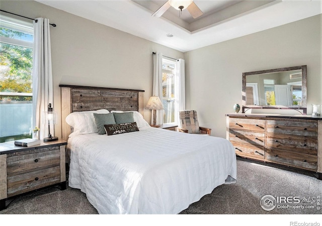 bedroom featuring ceiling fan, multiple windows, and dark carpet