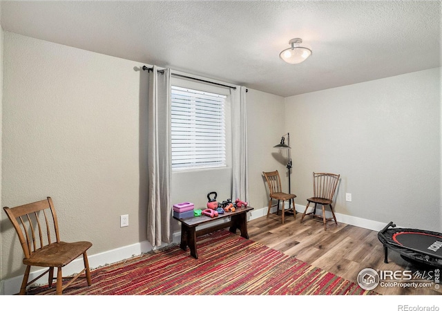 interior space featuring hardwood / wood-style floors and a textured ceiling