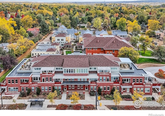 aerial view