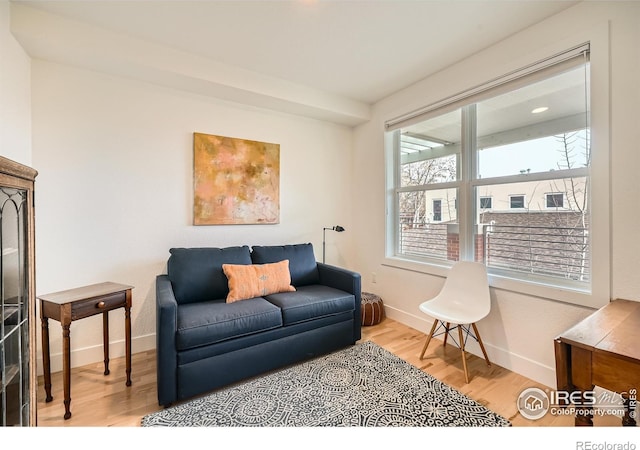 living room with light hardwood / wood-style floors