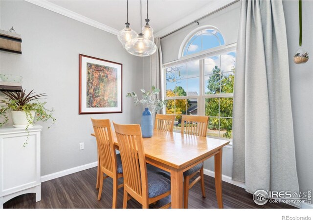 dining room with ornamental molding, an inviting chandelier, and dark hardwood / wood-style floors