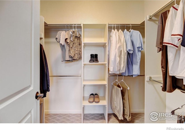 view of walk in closet