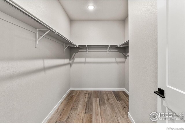 spacious closet with light wood-type flooring