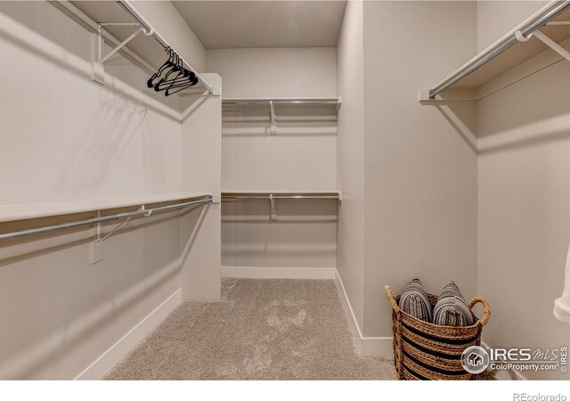 968 Birdwhistle Ln Unit 3, Fort Collins, CO 80524