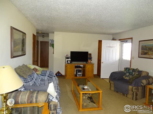 carpeted living room featuring a textured ceiling