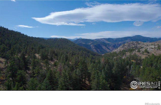 329 Snow Top Dr, Drake, CO 80515 - mountain view featuring a forest