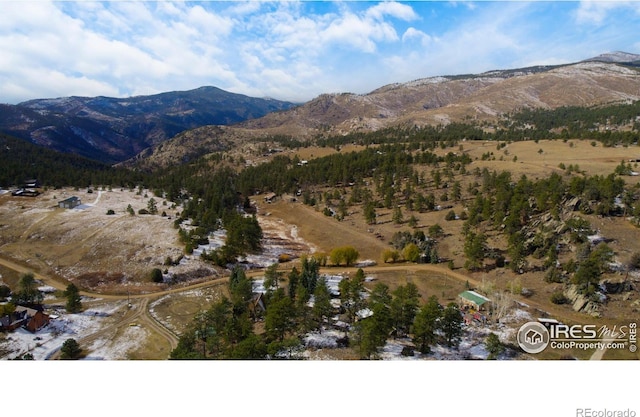 329 Snow Top Dr, Drake, CO 80515 - view of mountain background