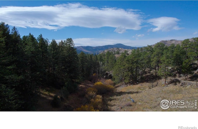 329 Snow Top Dr, Drake, CO 80515 - view of mountain background with a forest
