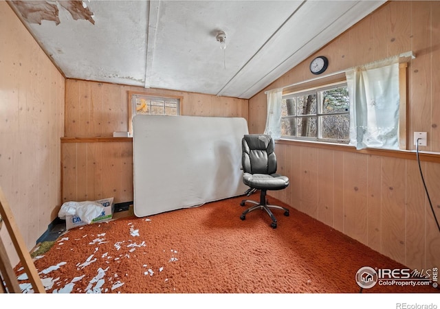 329 Snow Top Dr, Drake, CO 80515 - carpeted office featuring vaulted ceiling and wooden walls