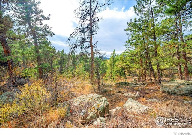 329 Snow Top Dr, Drake, CO 80515 - view of wooded area