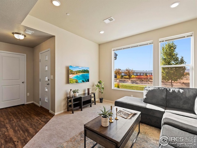 living room featuring a textured ceiling and dark hardwood / wood-style flooring