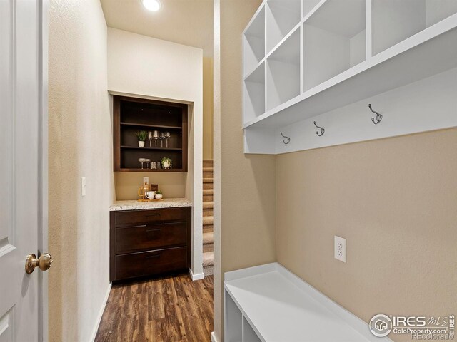 mudroom featuring dark wood-type flooring