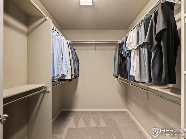 walk in closet featuring light colored carpet