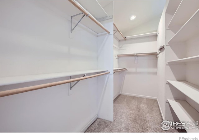 spacious closet with light colored carpet