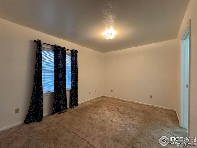 unfurnished room featuring carpet floors