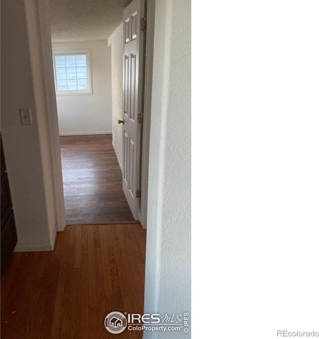 hallway featuring dark hardwood / wood-style flooring