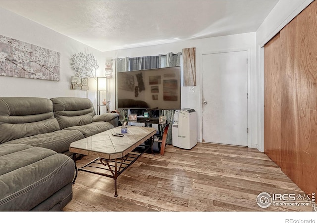 living room featuring a textured ceiling and wood finished floors