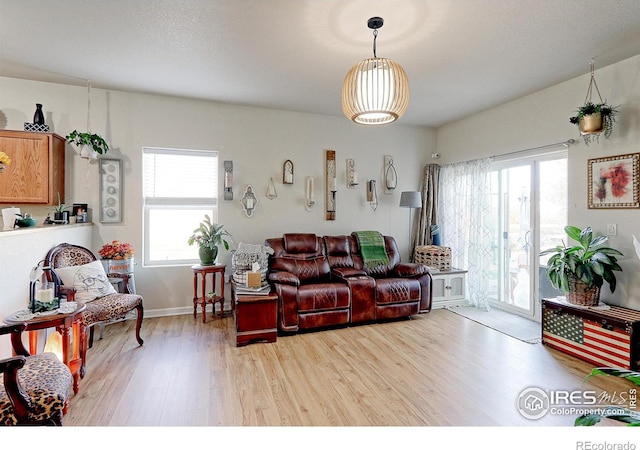 living room featuring a wealth of natural light and light wood-type flooring