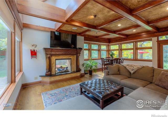 living room with light hardwood / wood-style floors, a premium fireplace, and a healthy amount of sunlight