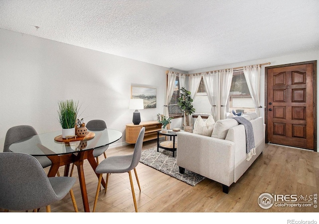 living room with a textured ceiling and hardwood / wood-style floors