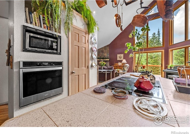 kitchen featuring stainless steel appliances and high vaulted ceiling