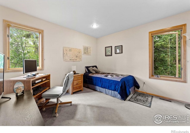 carpeted bedroom featuring multiple windows