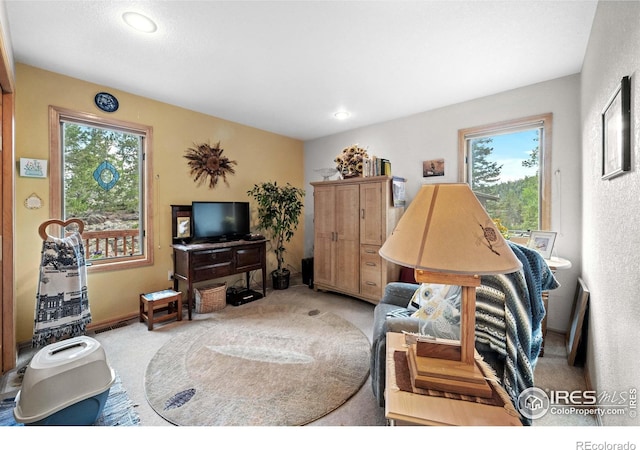 view of carpeted living room