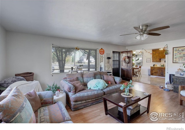 living room with light hardwood / wood-style floors and ceiling fan