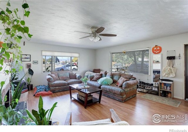 living room with light hardwood / wood-style floors, a textured ceiling, and ceiling fan