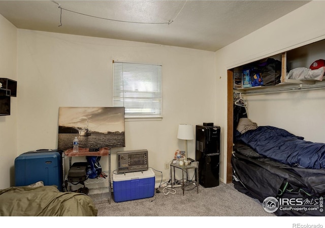 bedroom with carpet