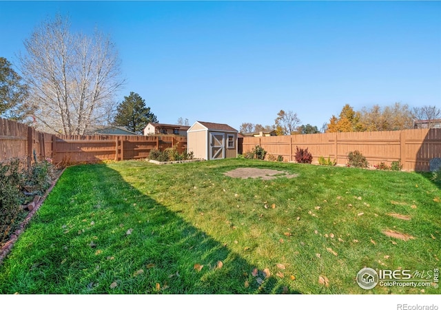 view of yard featuring a shed