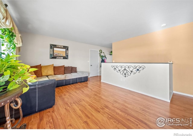 living room featuring light wood-type flooring