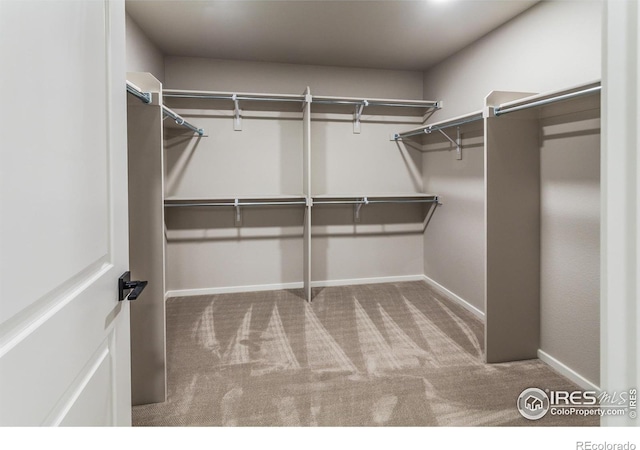 spacious closet featuring light carpet