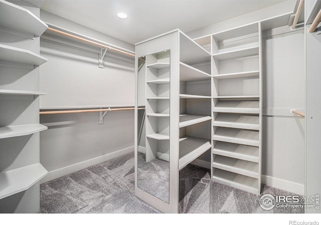 walk in closet featuring carpet flooring