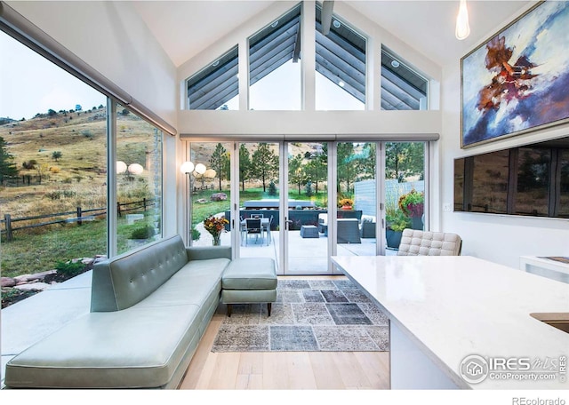 interior space with lofted ceiling and plenty of natural light