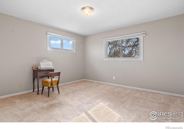 carpeted home office with a textured ceiling