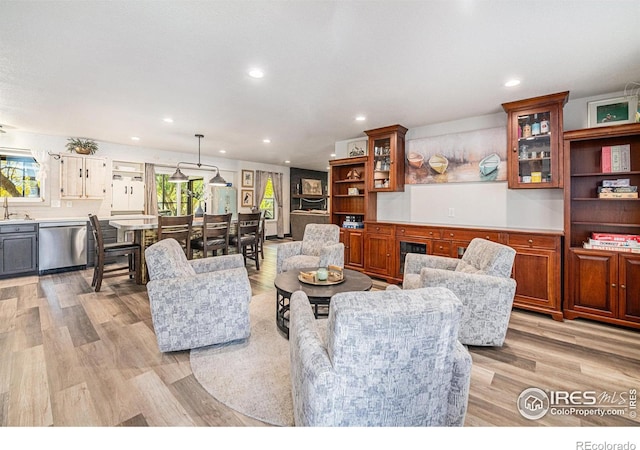 living room featuring light hardwood / wood-style floors and sink