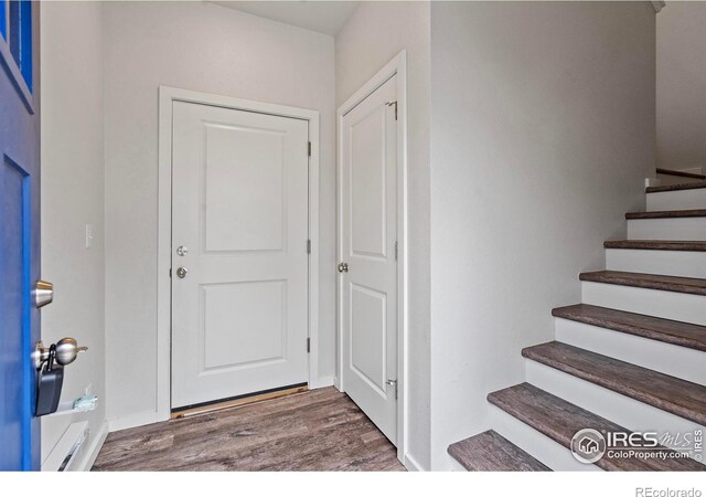 foyer featuring dark hardwood / wood-style floors