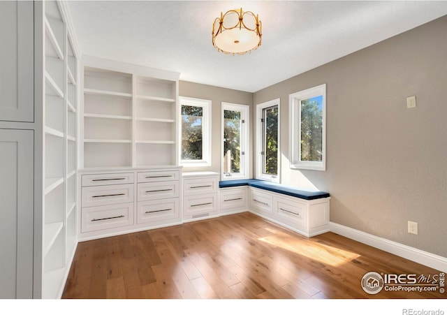 mudroom with light hardwood / wood-style floors