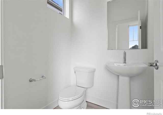 bathroom with hardwood / wood-style flooring and toilet