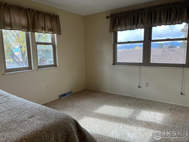 unfurnished bedroom with carpet