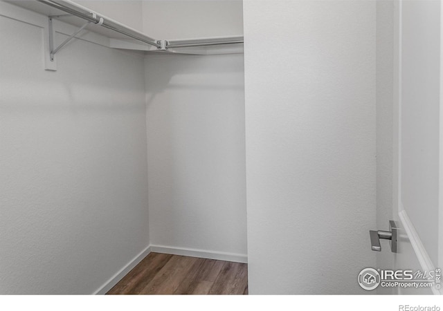 spacious closet featuring dark hardwood / wood-style floors