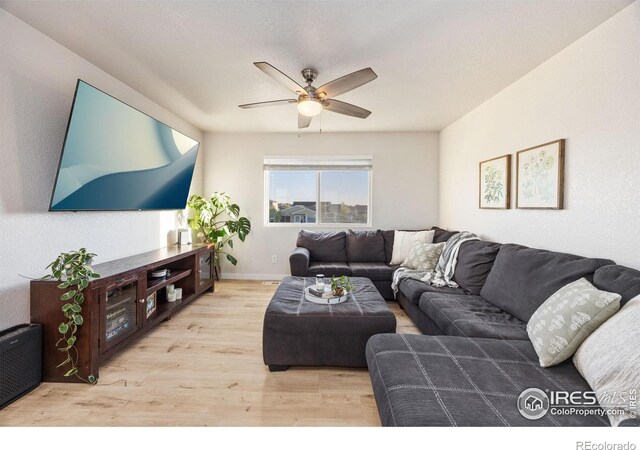 913 E 24th Street Rd, Greeley, CO 80631 - photo 10