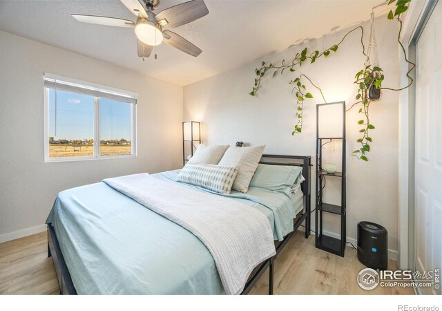 913 E 24th Street Rd, Greeley, CO 80631 - photo 18