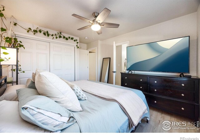 913 E 24th Street Rd, Greeley, CO 80631 - photo 20