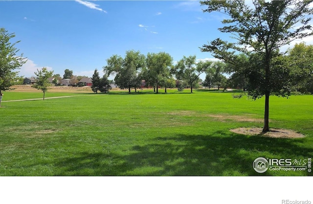 913 E 24th Street Rd, Greeley, CO 80631 - photo 33