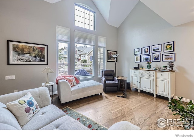 living room with hardwood / wood-style flooring and high vaulted ceiling