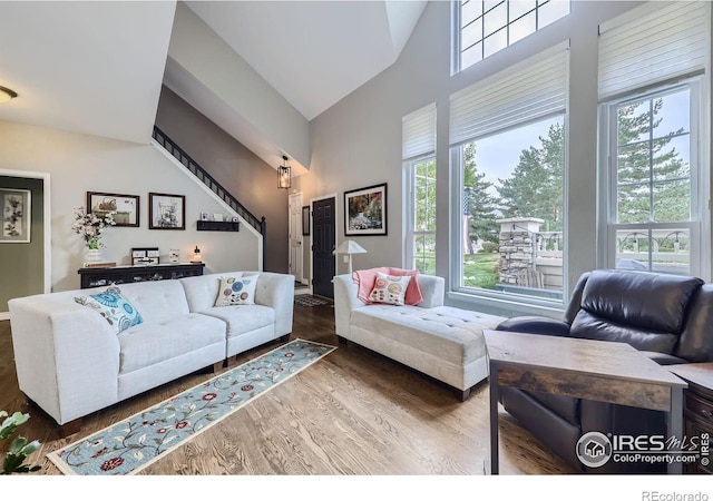 living room with wood-type flooring and high vaulted ceiling