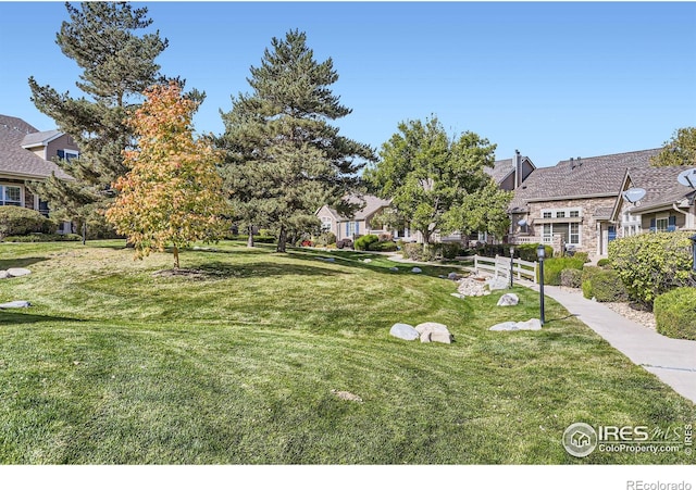 6220 Salvia St, Arvada, CO 80403 - view of green lawn